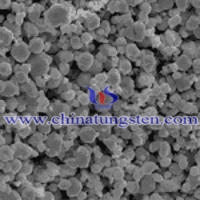 SEM Micrograph of Tungsten Powder