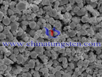 SEM Micrograph of Tungsten Powder