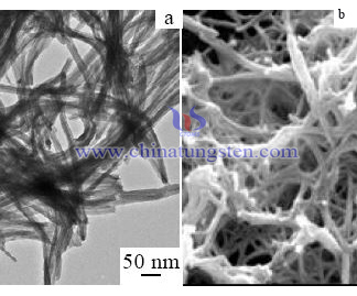 Tantalum Tungsten Bronze TEM SEM