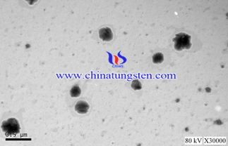 Milk Drops Phosphotungstic Acid Negative Staining SEM