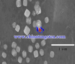 nano silver phosphotungstate picture