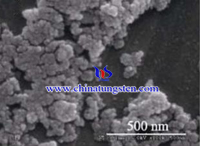 Phosphore Tungstène Hétéropoly Acid Catalyseur SEM