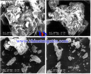 silicon tungsten heteropoly acid SEM