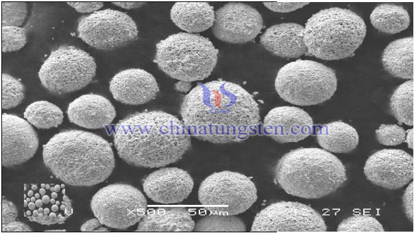 thermal spray powder WC-Co-Cr agglomerated SEM