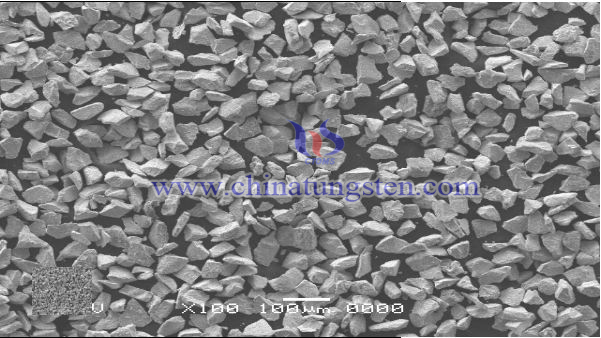 thermal spray powder WC-Co crushed SEM