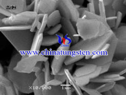 tungsten disulfide flake picture