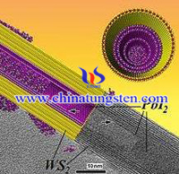 Tungsten Disulfide Nanotube