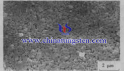 tungsten oxide film SEM photo