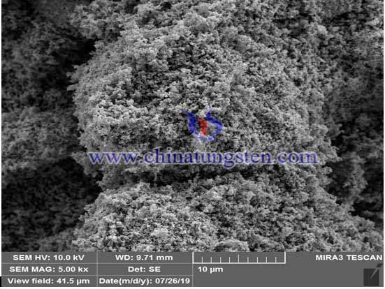 Tungsten Powder SEM