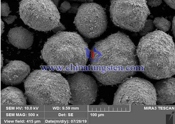 Tungsten Powder SEM