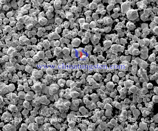 SEM of Tungsten Oxide